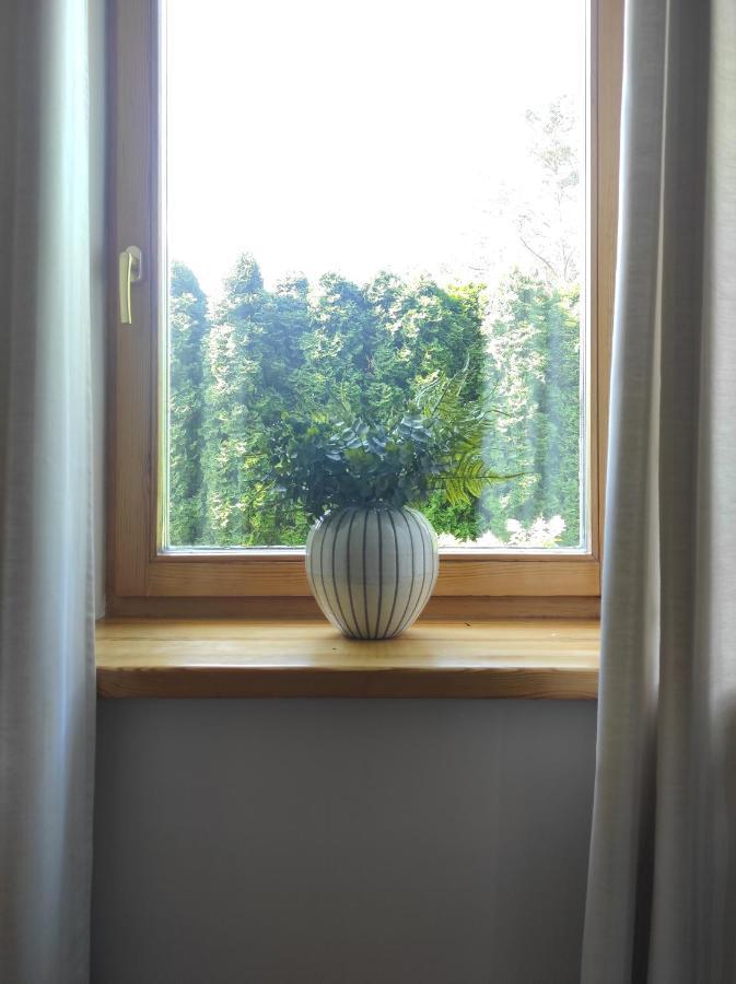 Upes Apartamentai Ii Su Kiemeliu Ir Baseinu Anyksciai